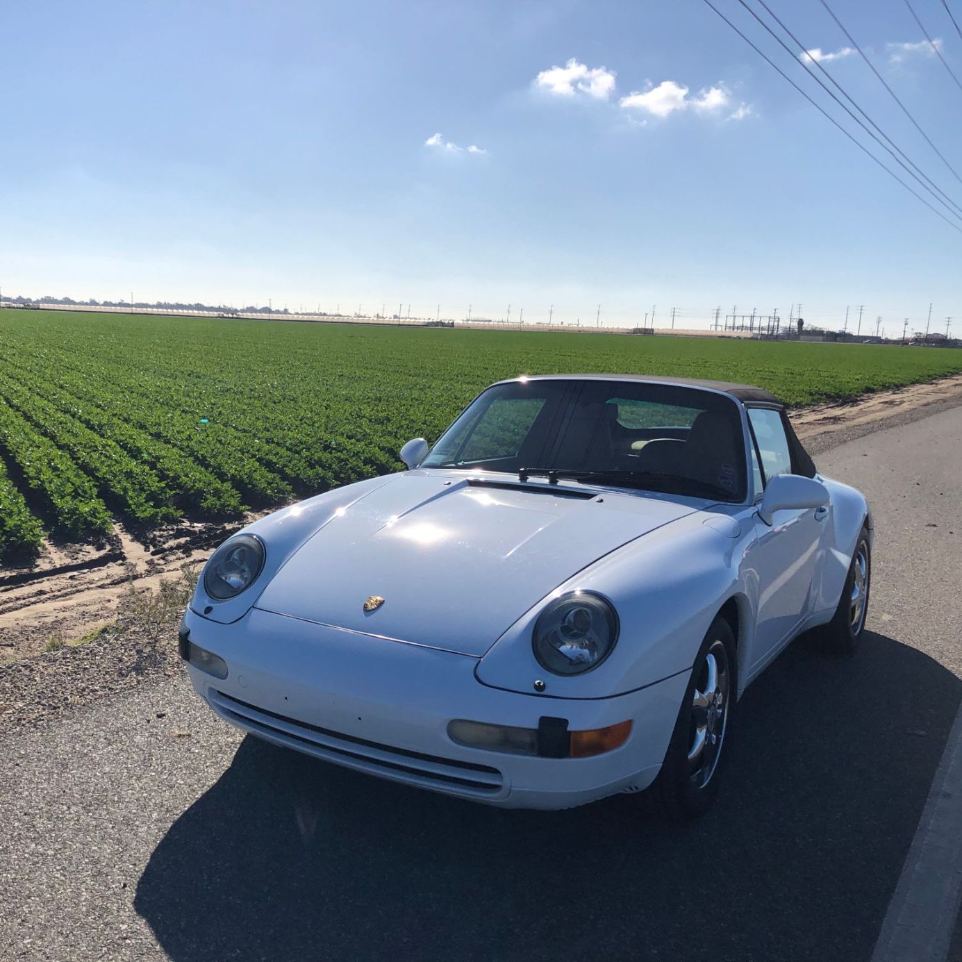 Profile of Amir Hami