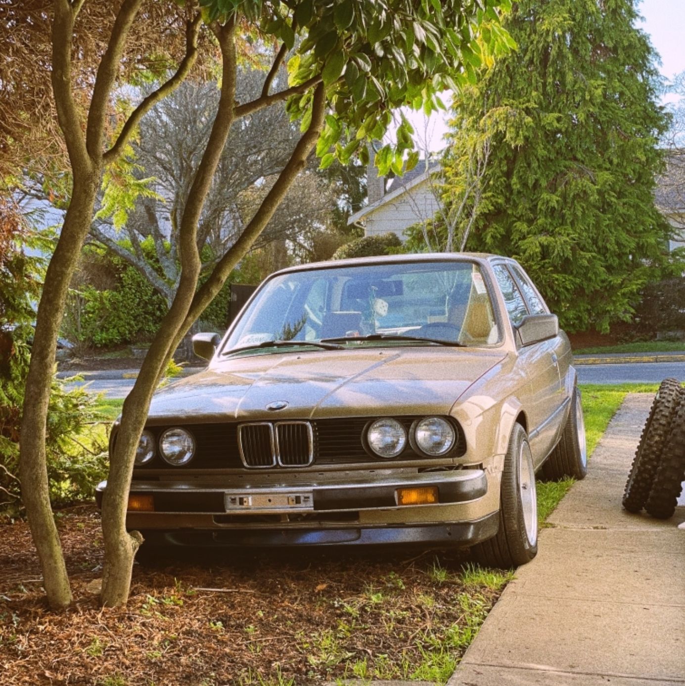 Profile of Corbin Timothy