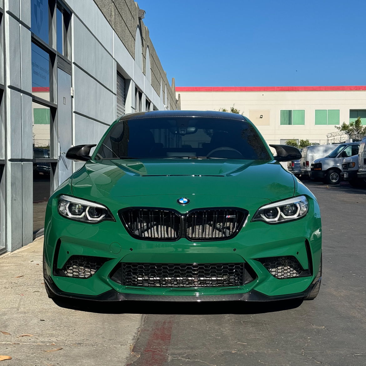 Profile of Dylan Bell