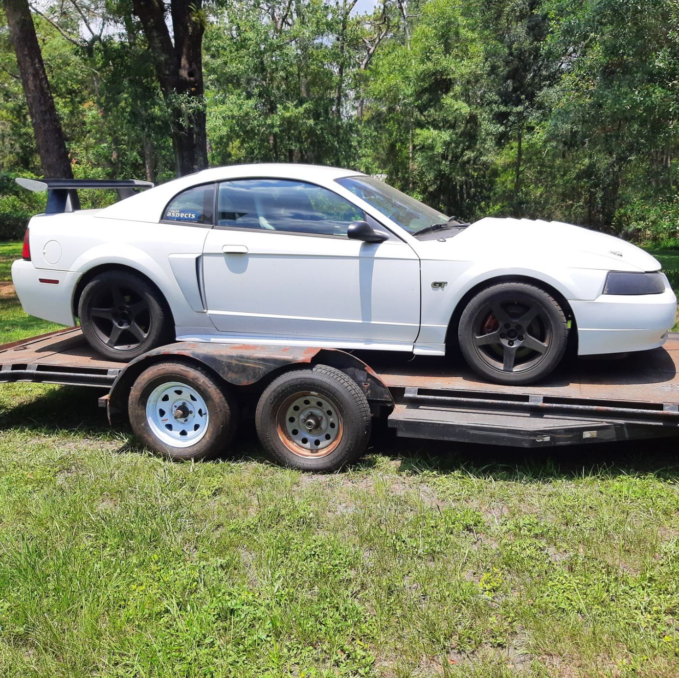 Profile of Chris Baron