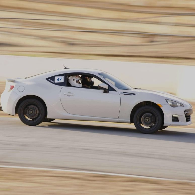 Profile of Camden Purcell