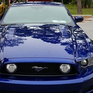 Profile of Matthew Katz