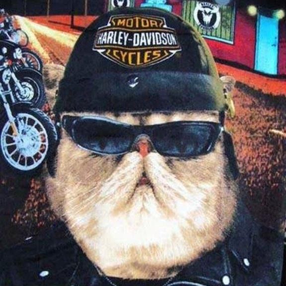 Profile of John Chandler