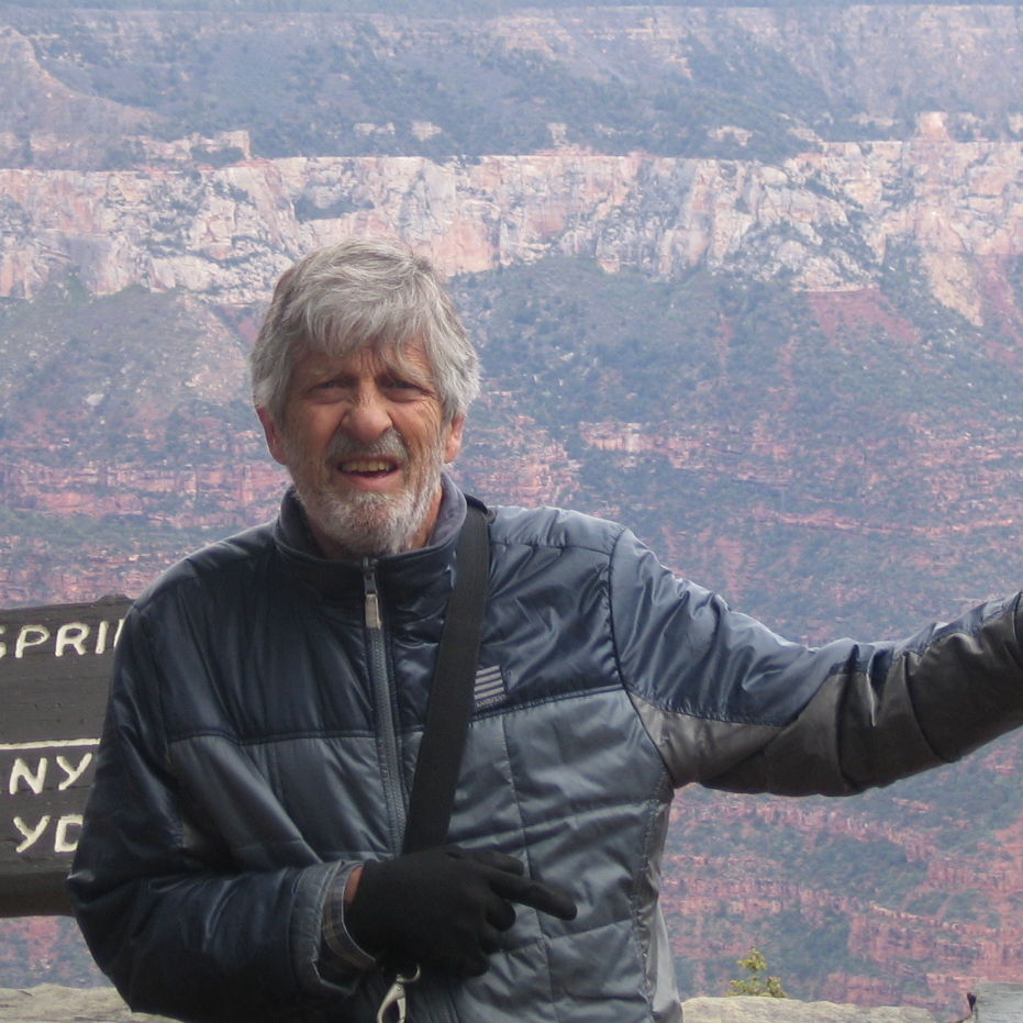 Profile of Stephen Ham