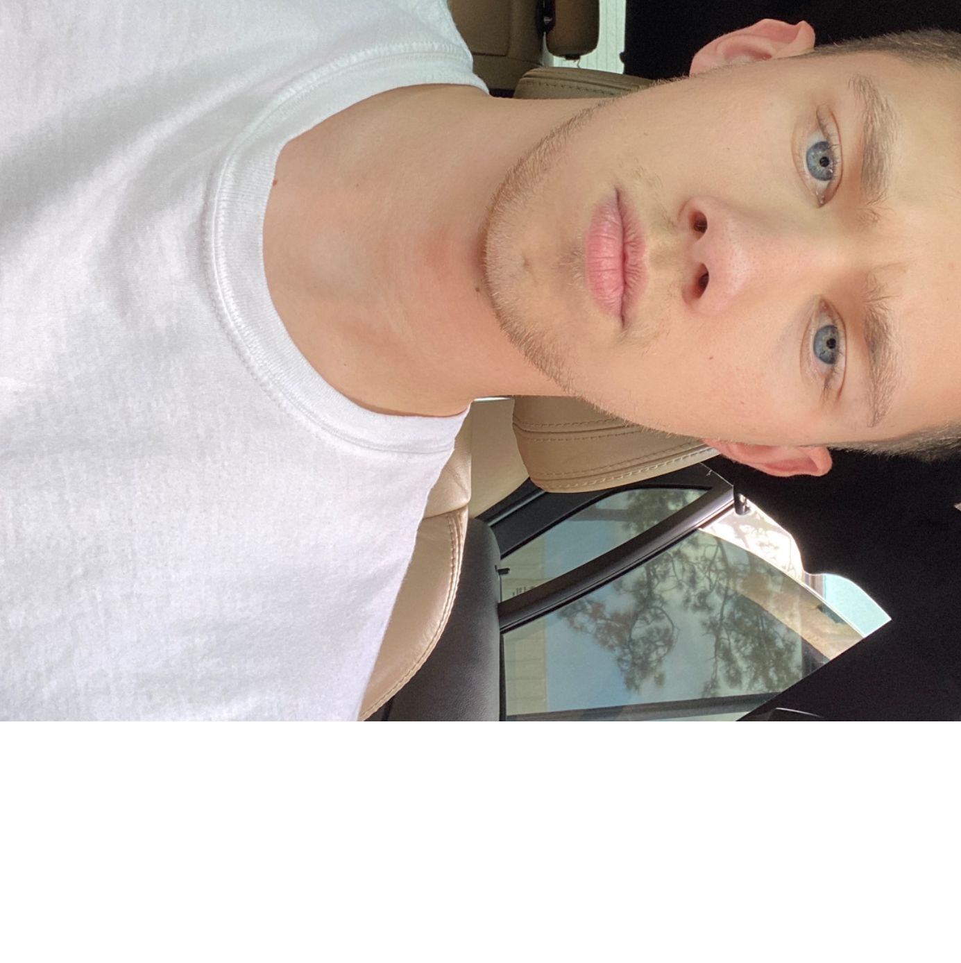 Profile of Matthew Webb