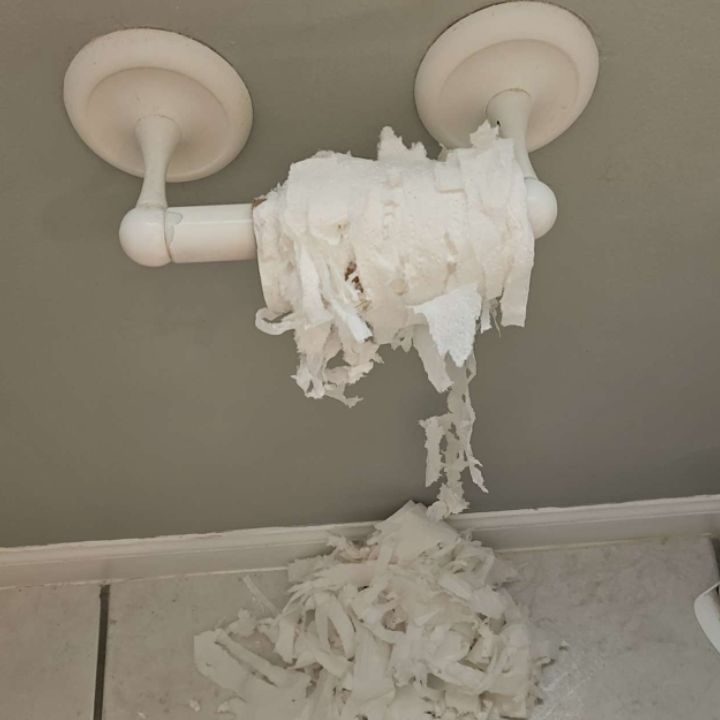 Profile of Brandy Hirmer