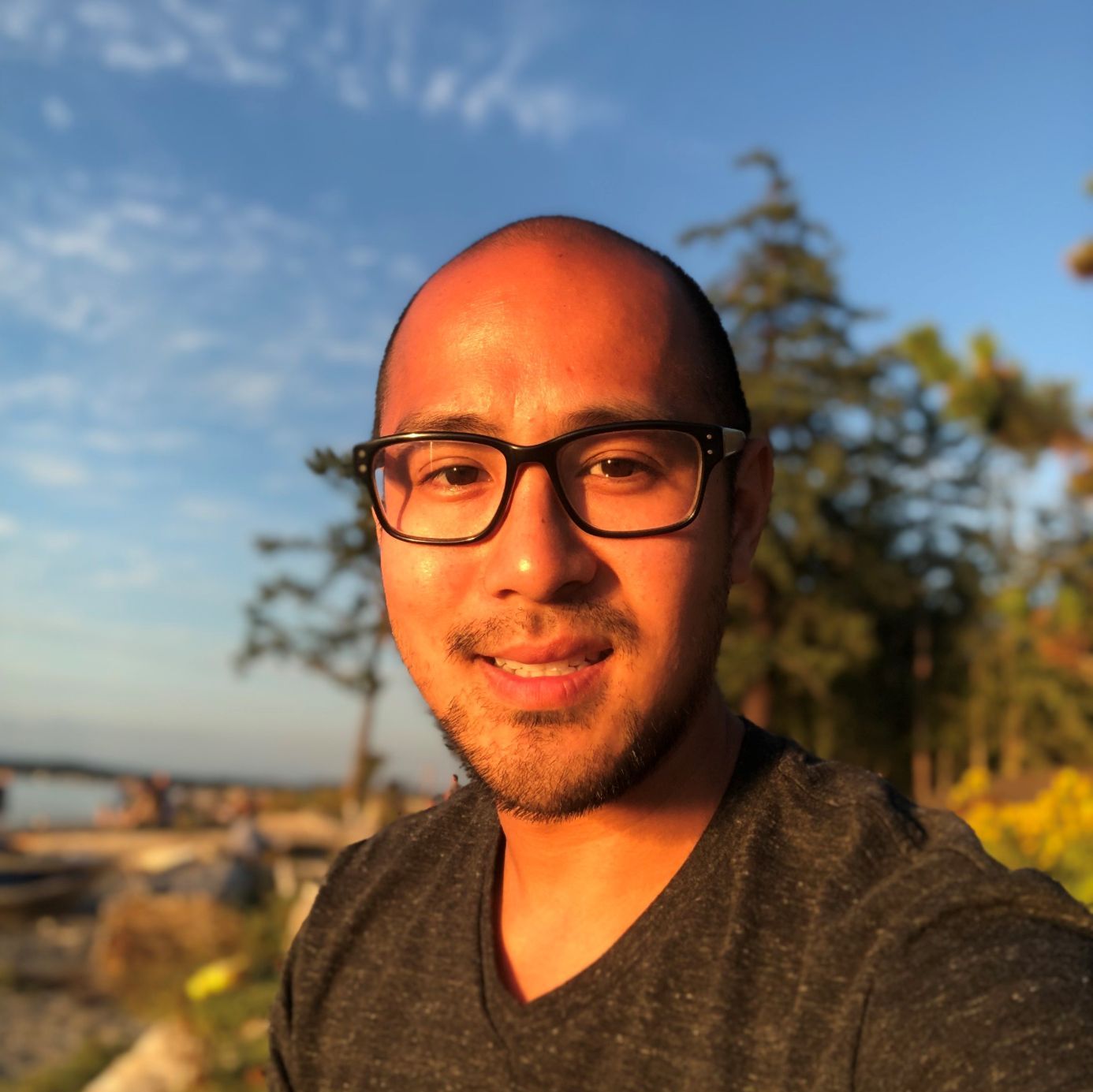 Profile of Dan Nguyen