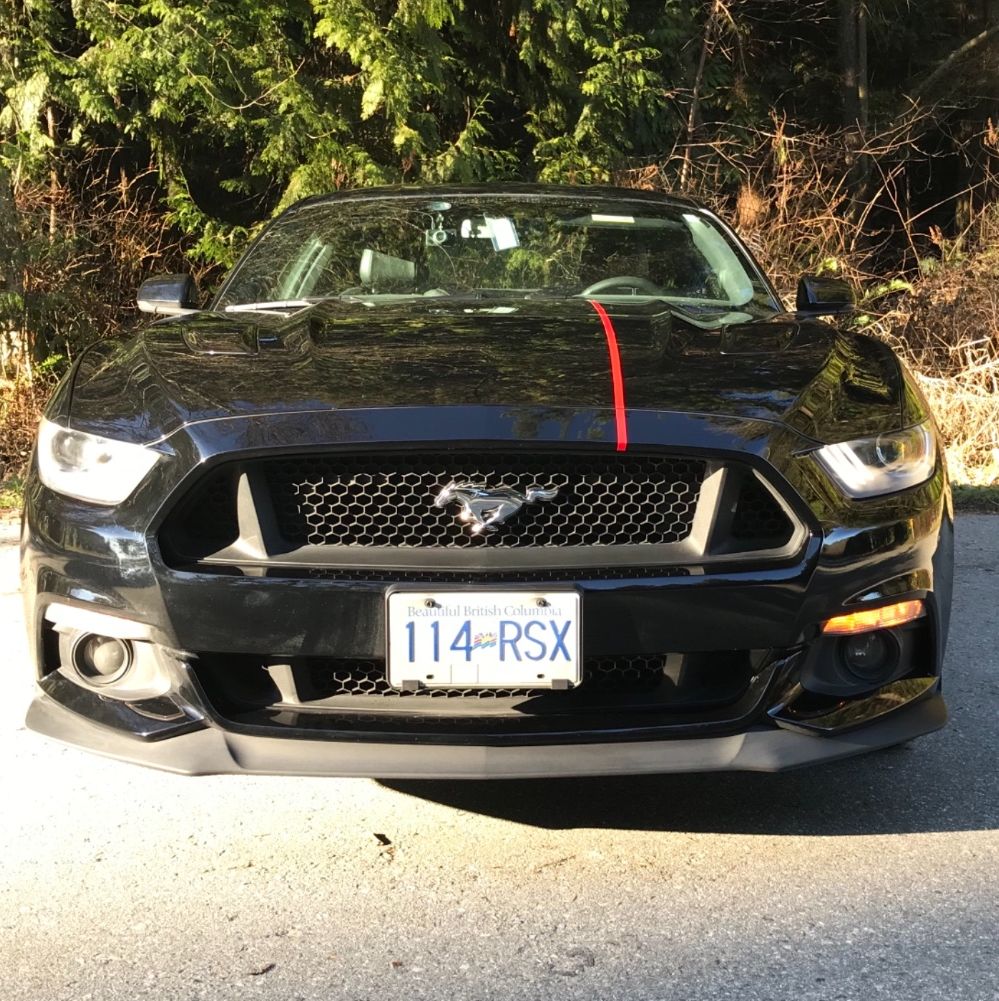 Profile of Fabrizio Paino