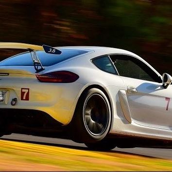 Profile of JOE HOLUB