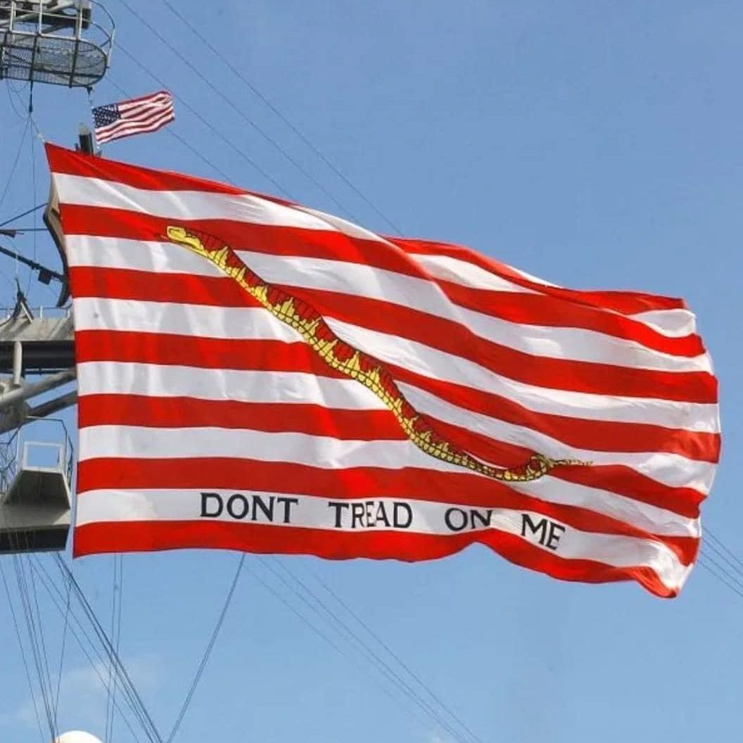 Profile of Ben Kline