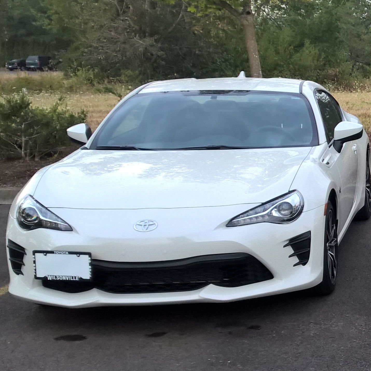 Profile of Mike Knight