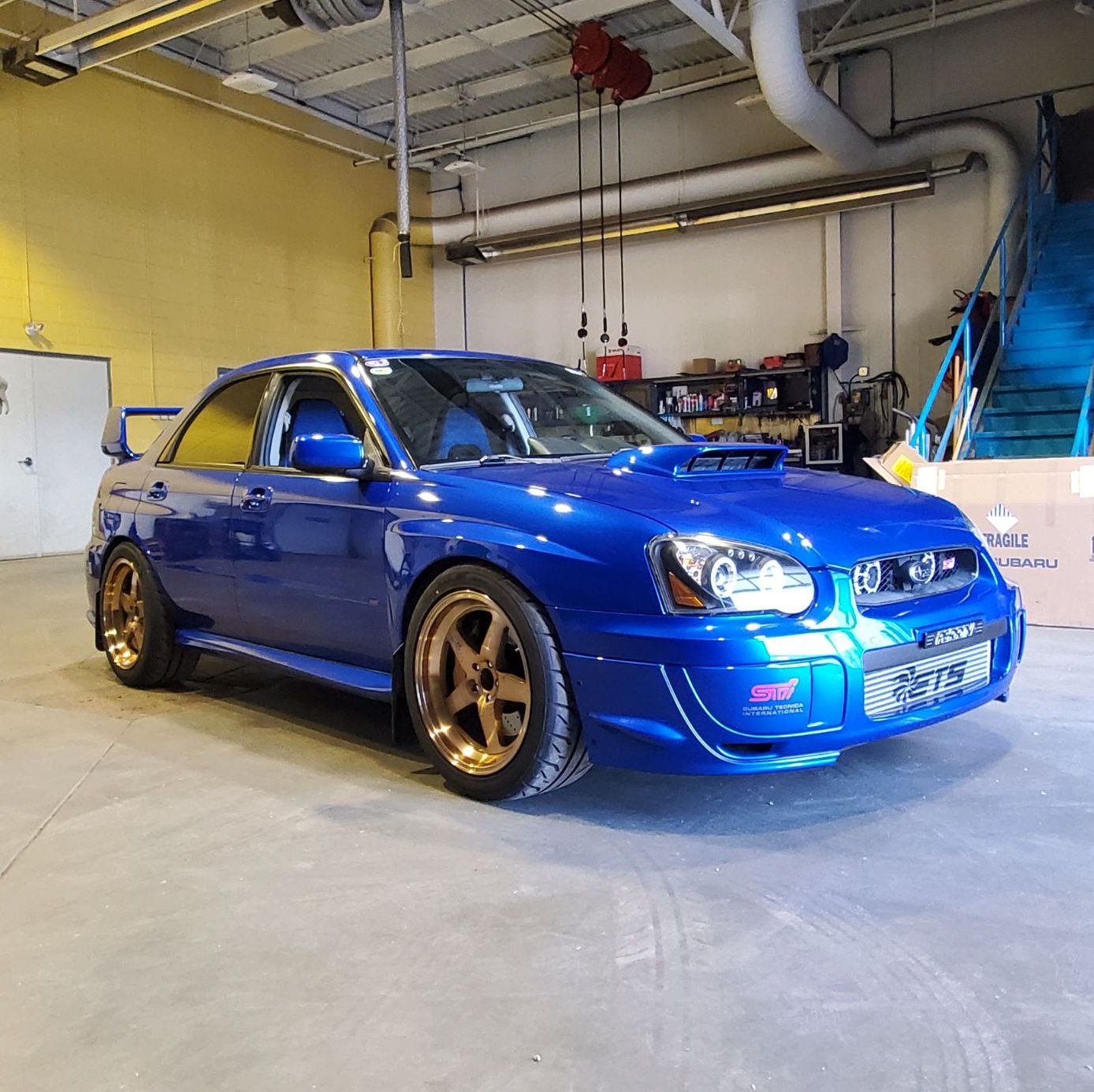 Profile of Danial Kaddoura