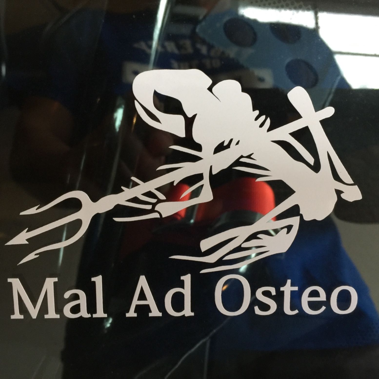 Profile of Rob Bruno