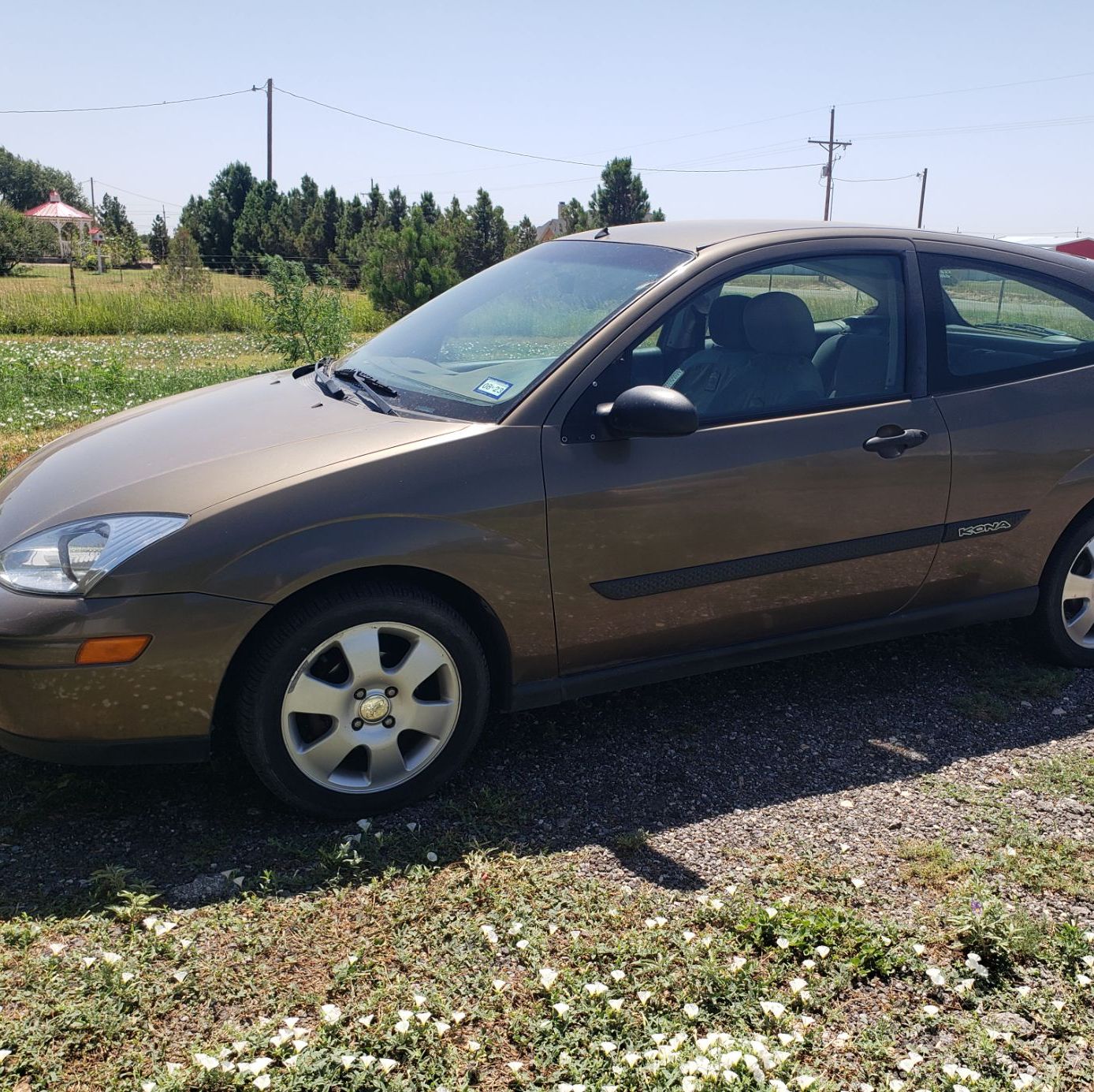 Profile of Wendy Flett