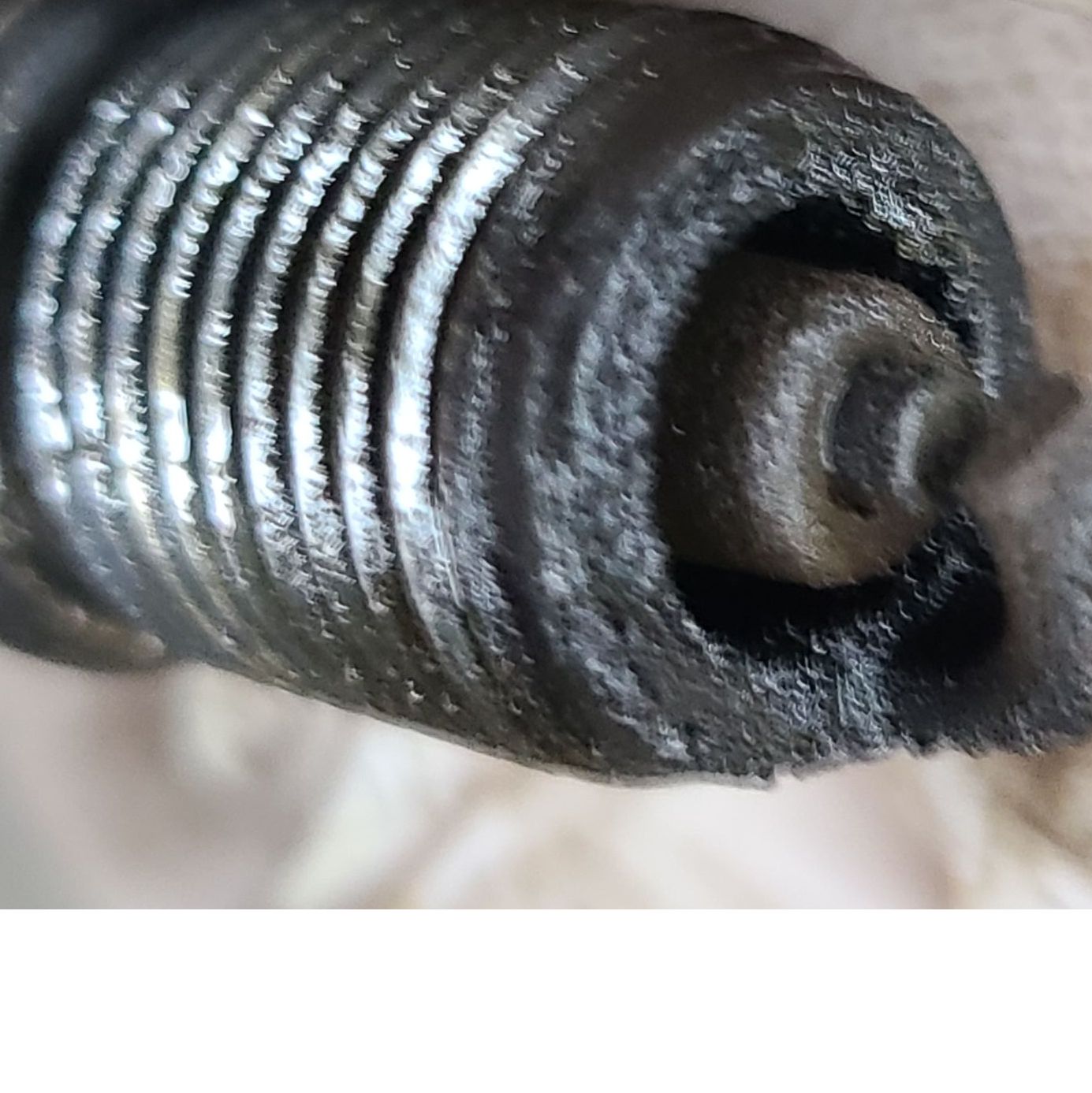 Profile of Daniel Downen