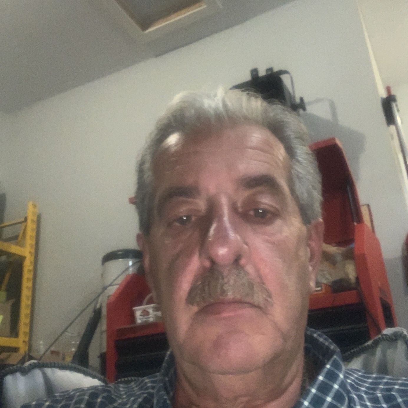 Profile of Tony Romanelli