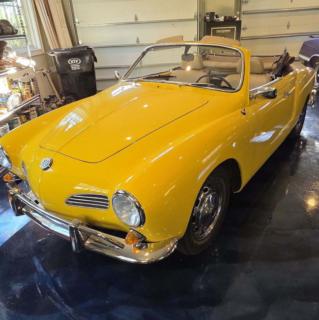 Profile of Louis Santelli