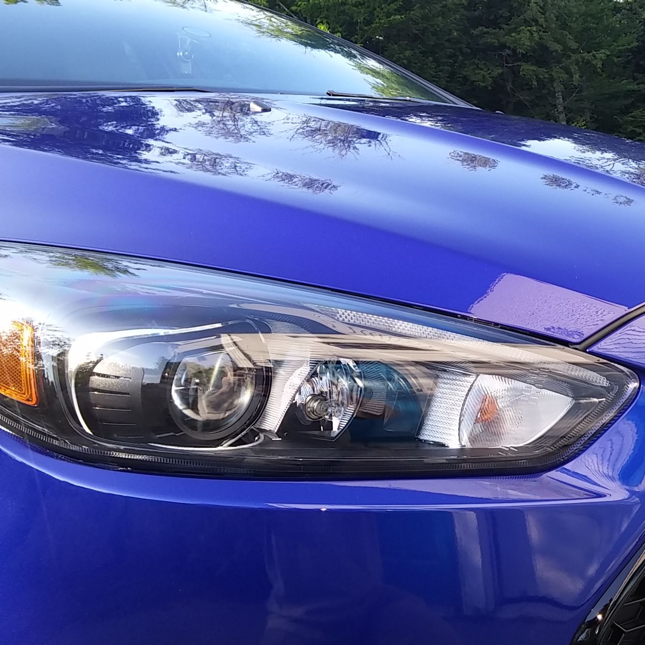 Profile of Dan Francis