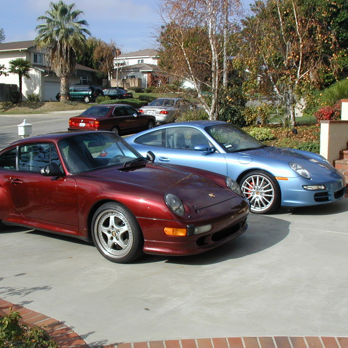 Profile of Peter & Judy Lech