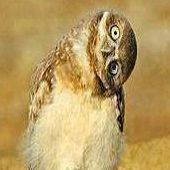 Profile of Jason Sparks