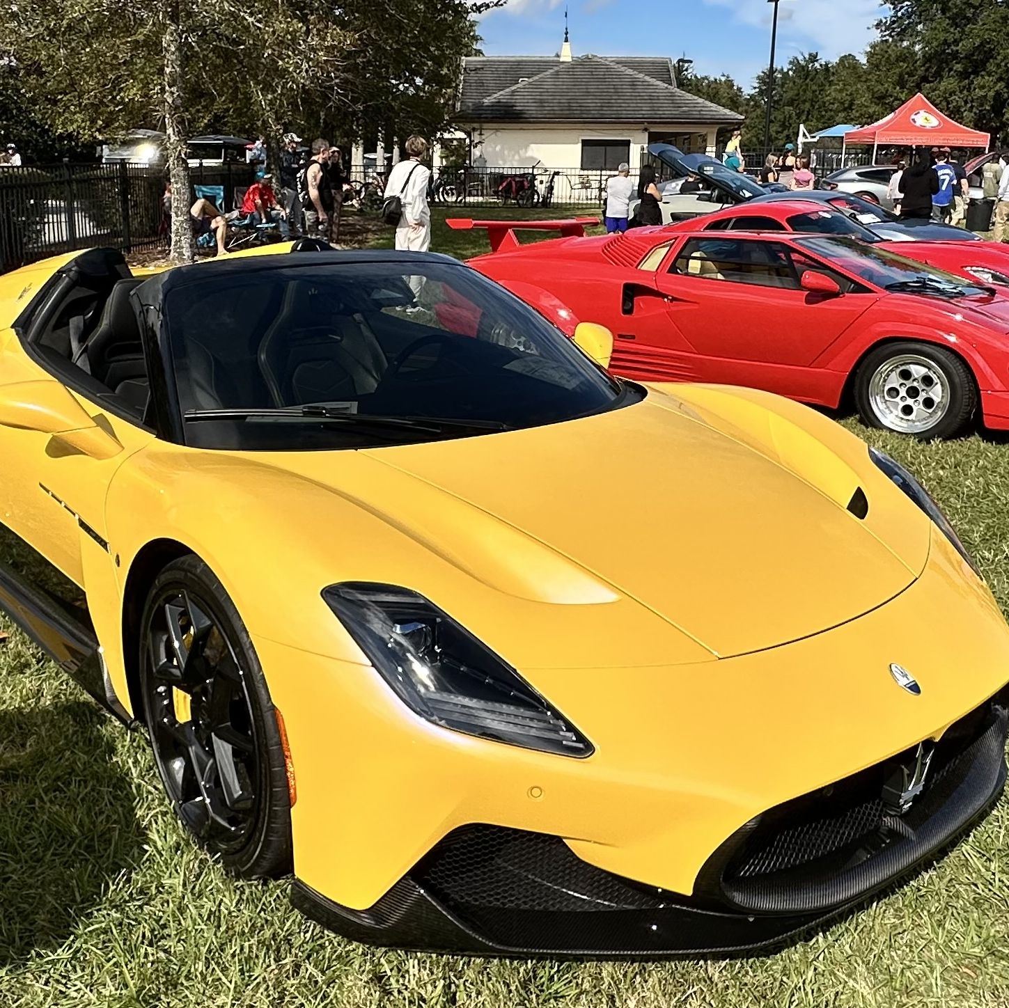 Profile of Tracy Thompson