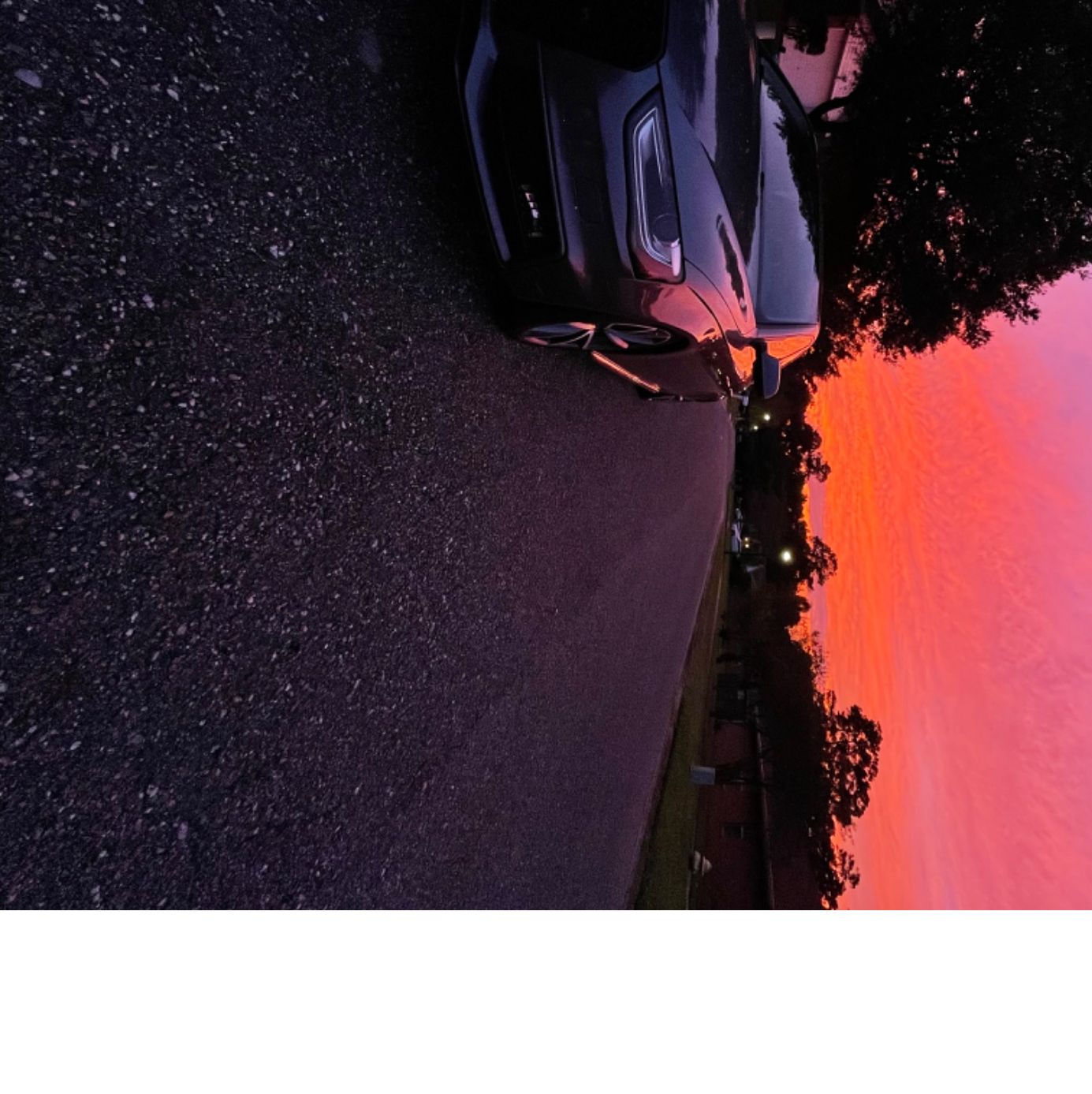 Profile of Antonio Palacios