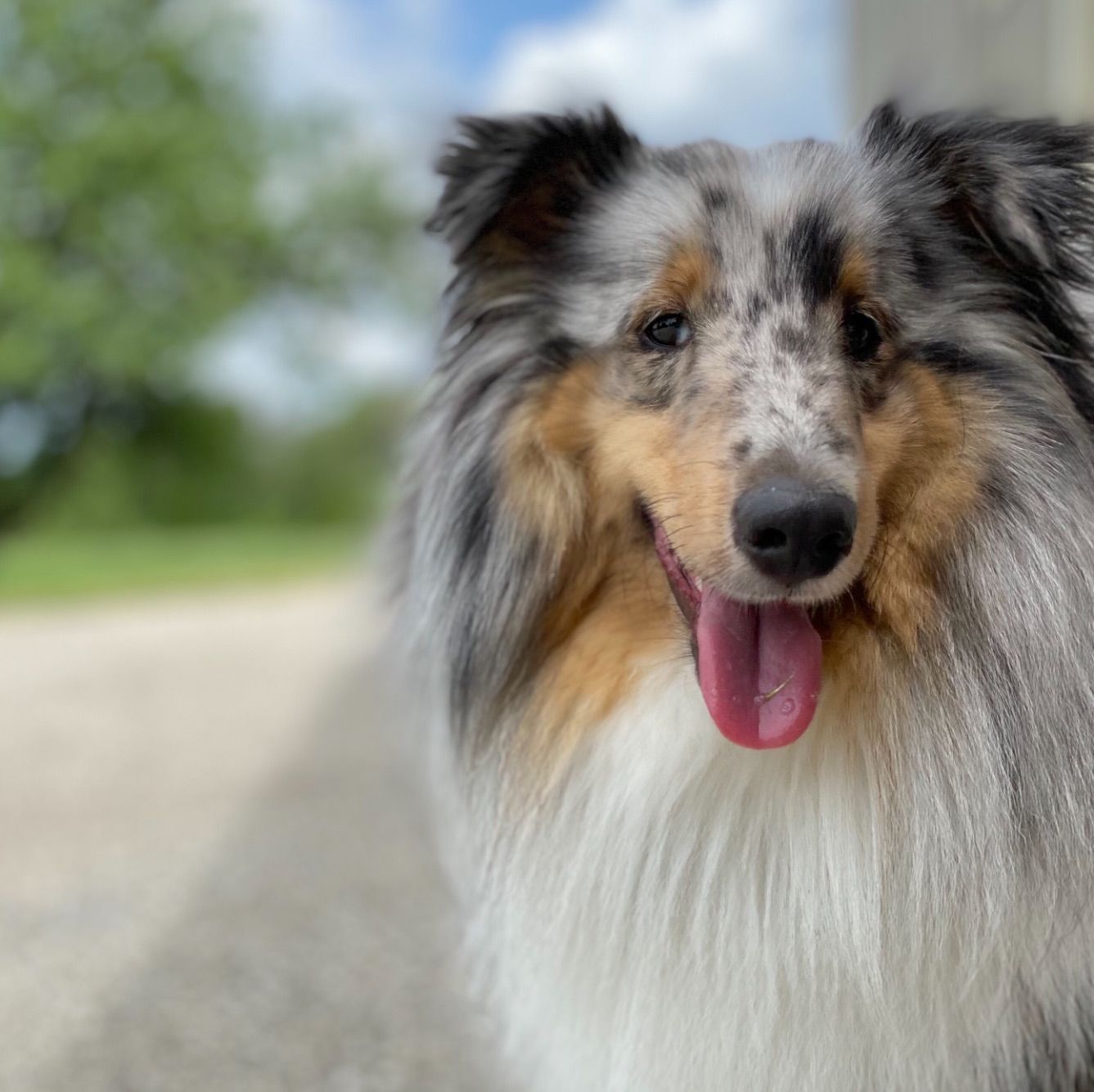 Profile of Stephen Tong