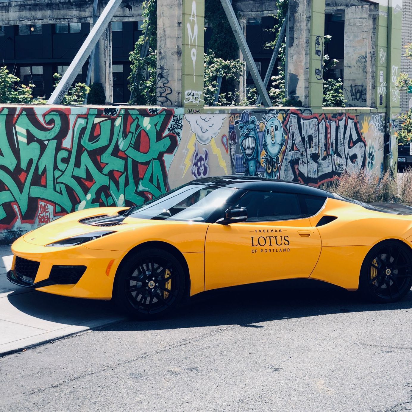 Profile of Kara Copeland