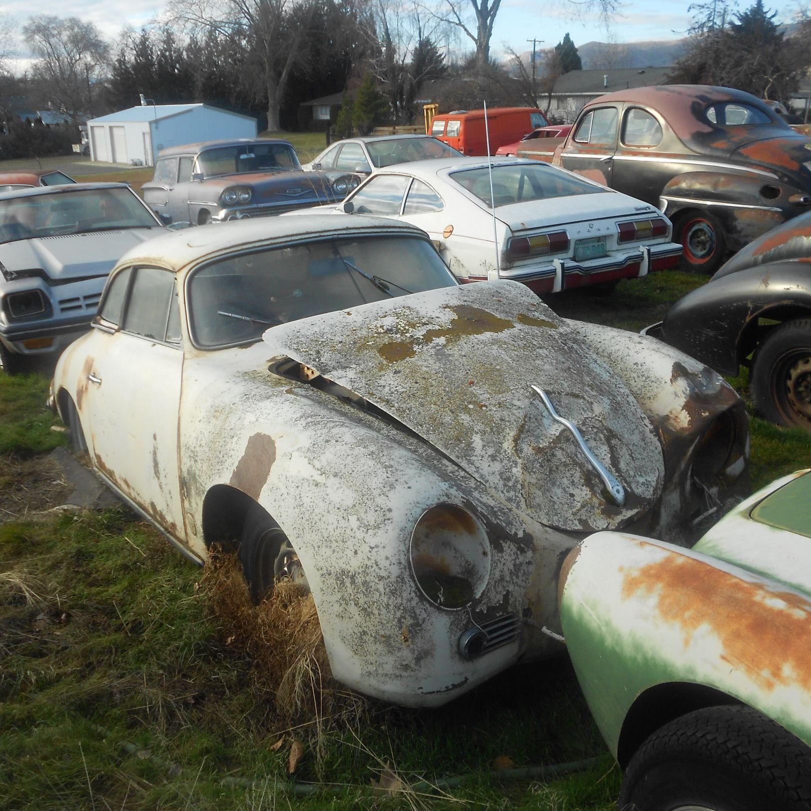 Profile of Alfred Knittel