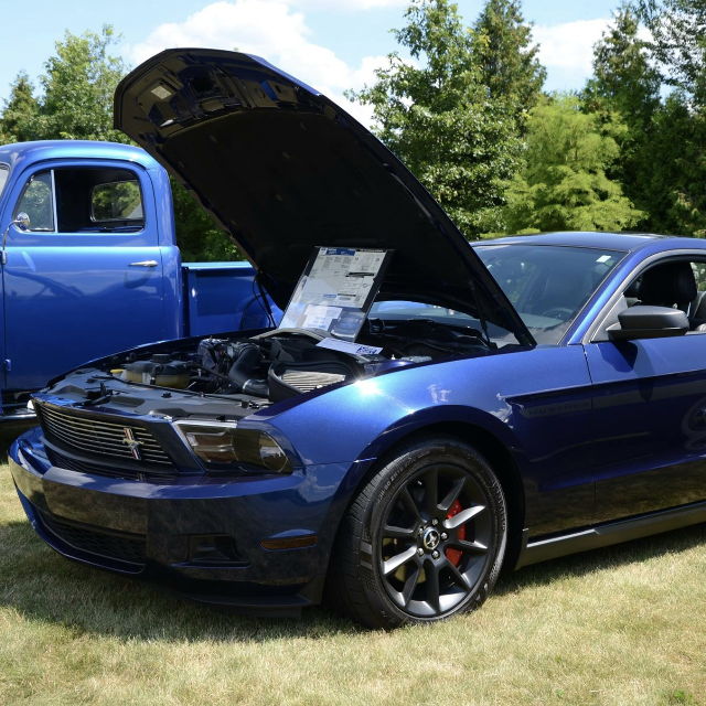 Profile of William Cosby