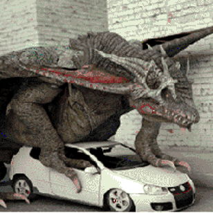 Profile of Don Kittmer