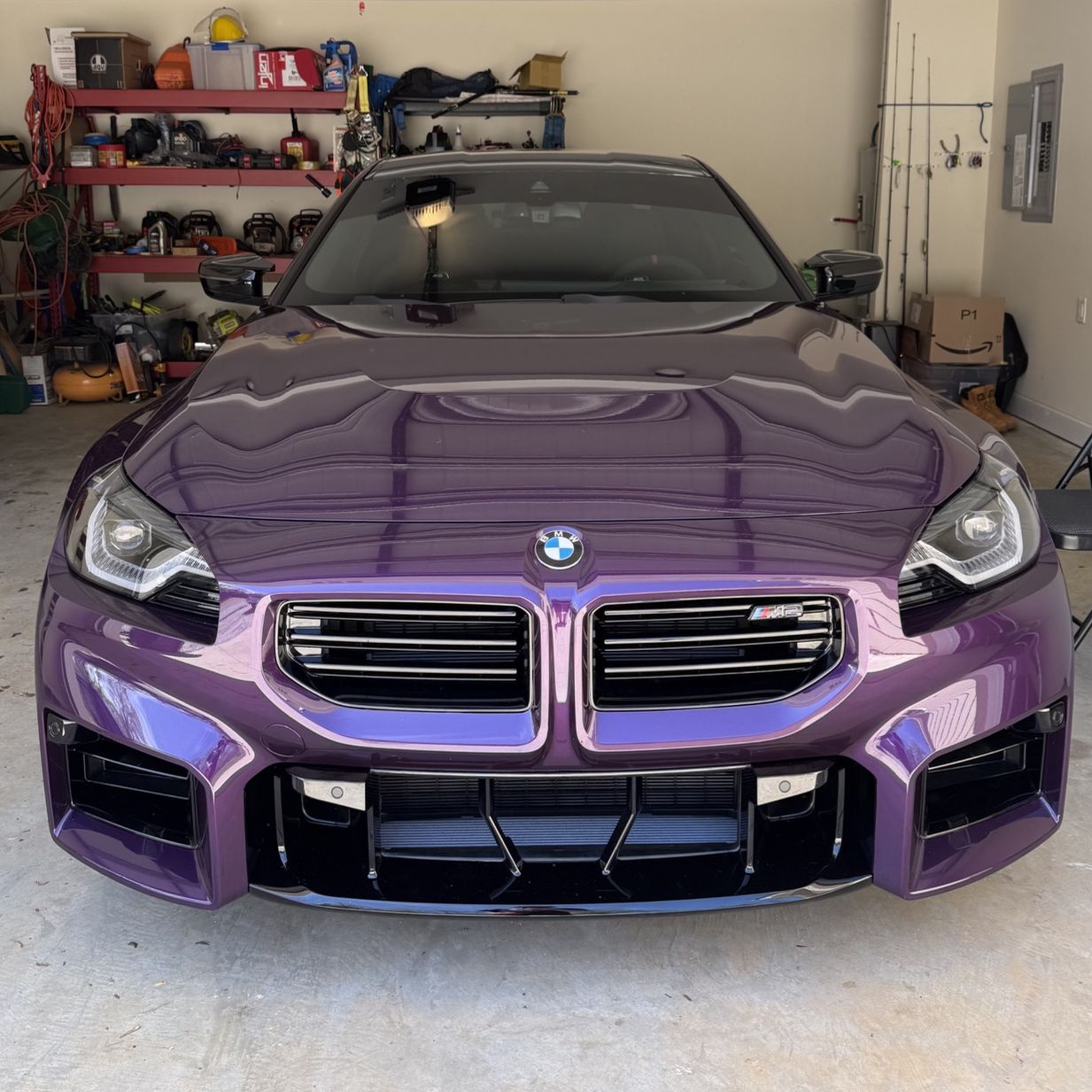 Profile of Nico Grieco