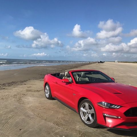 Profile of John Tsucalas