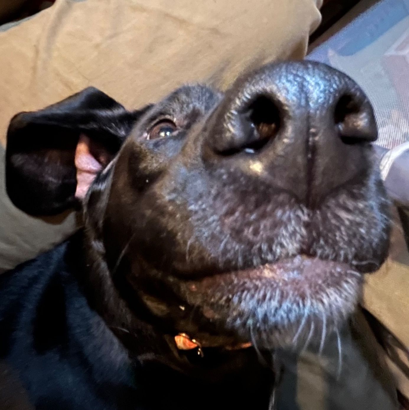 Profile of Jacob Carll