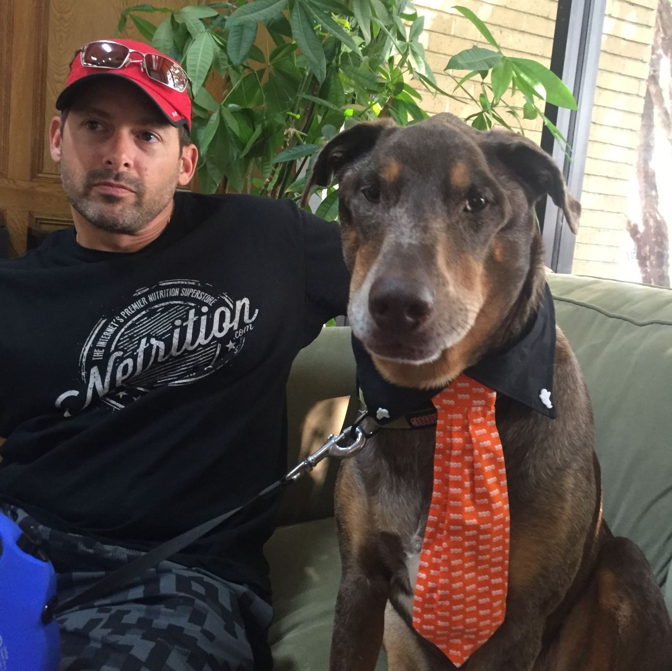 Profile of Todd DeJulius