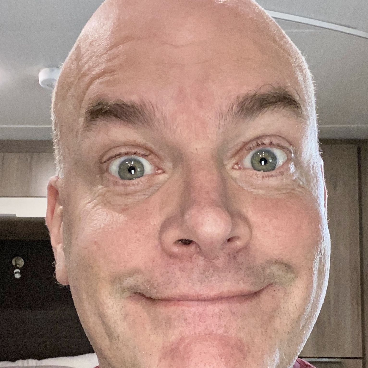 Profile of Brian Wilson