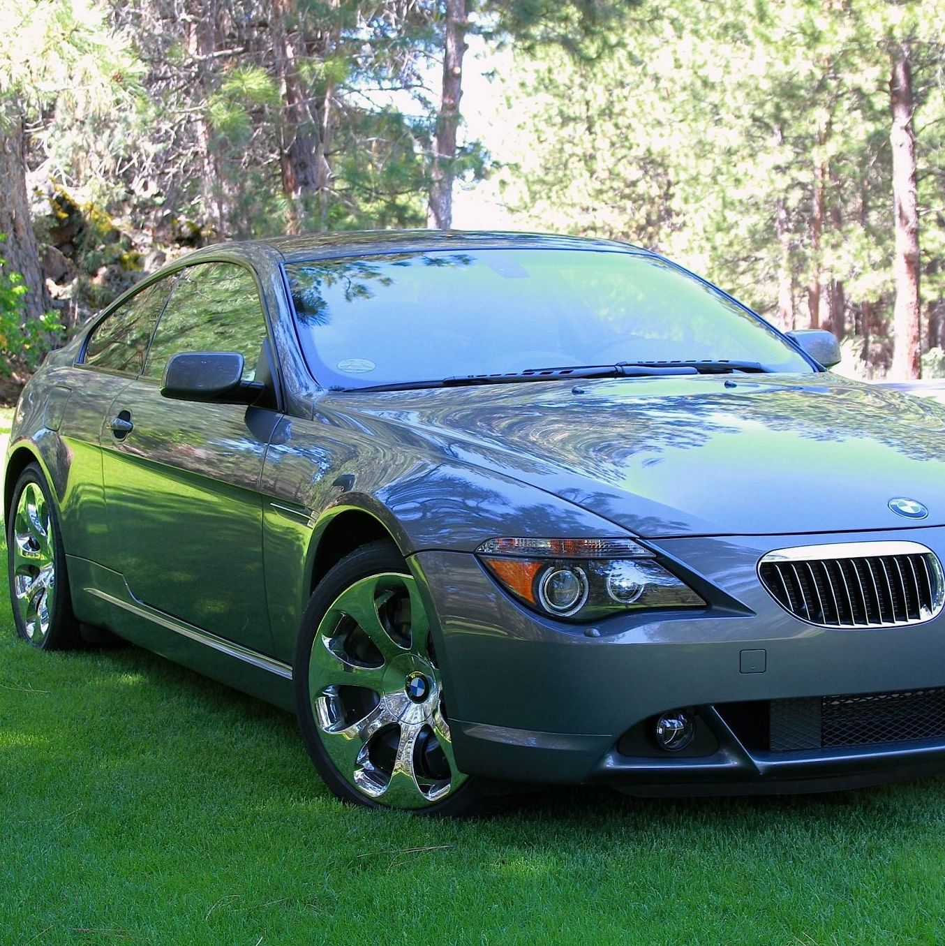 Profile of PETER D FIELD SR