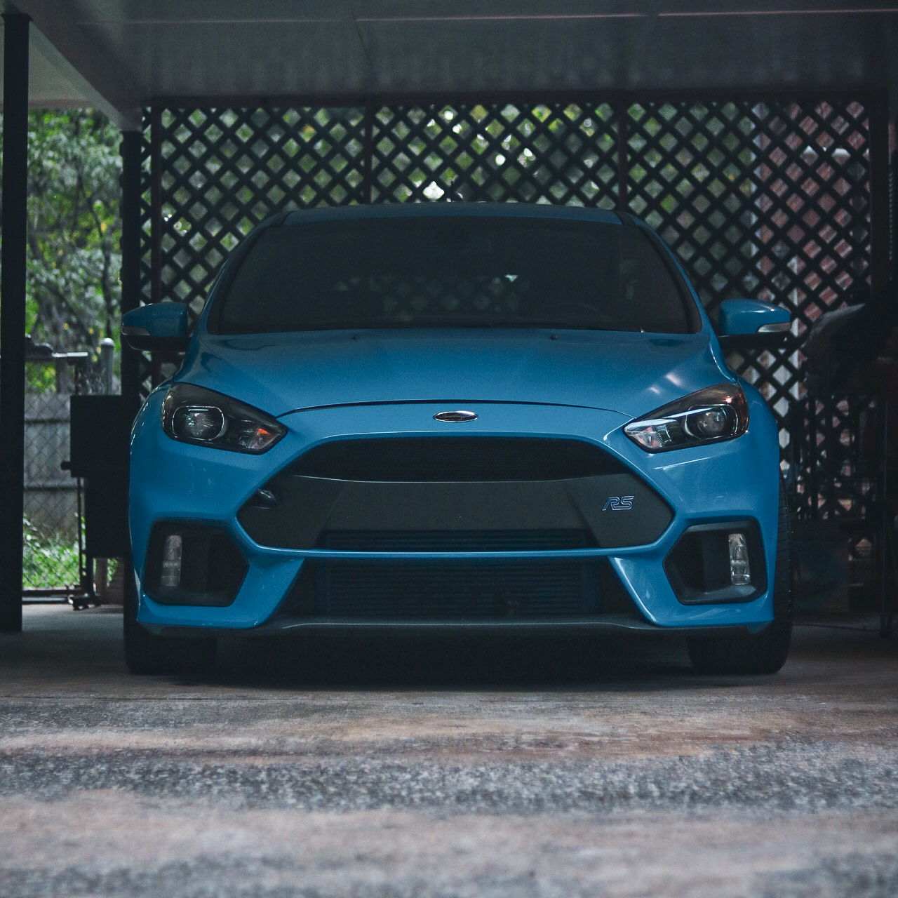 Profile of Kandy Reyes