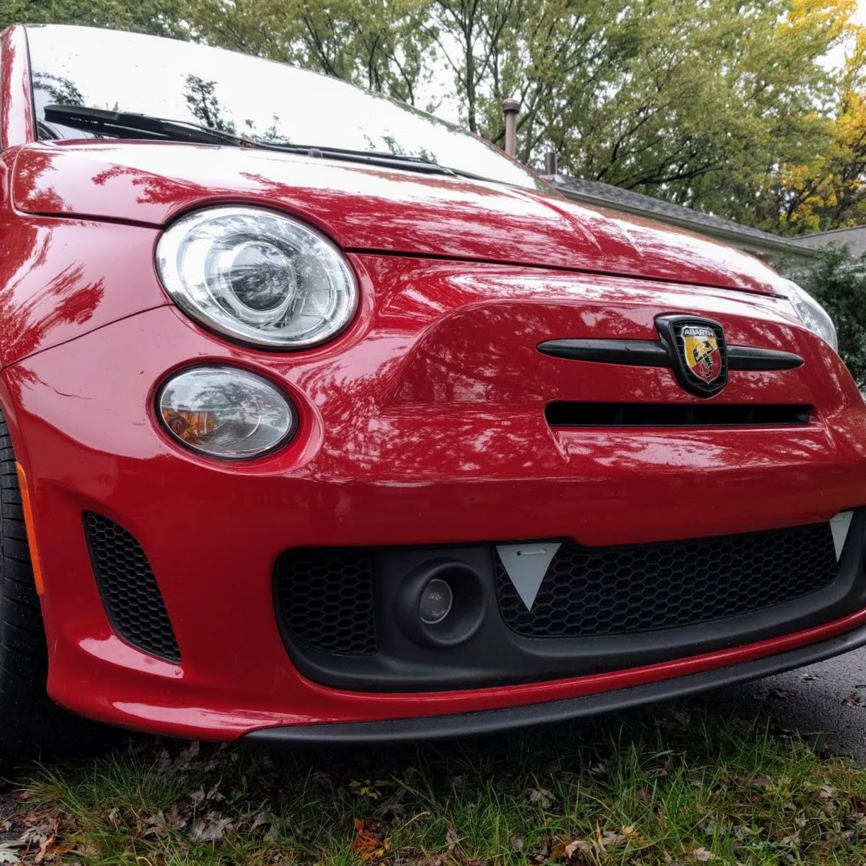 Profile of Brandon Andrzejewski