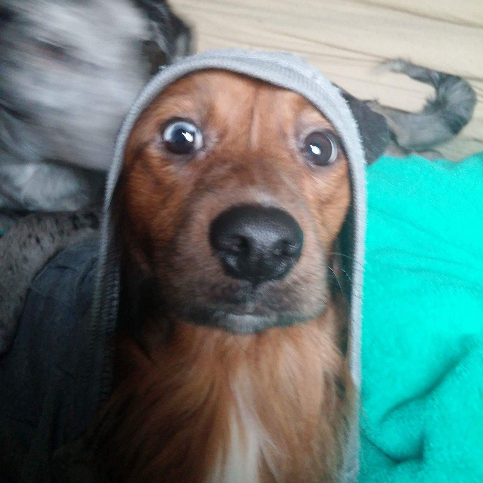 Profile of Richard Pender