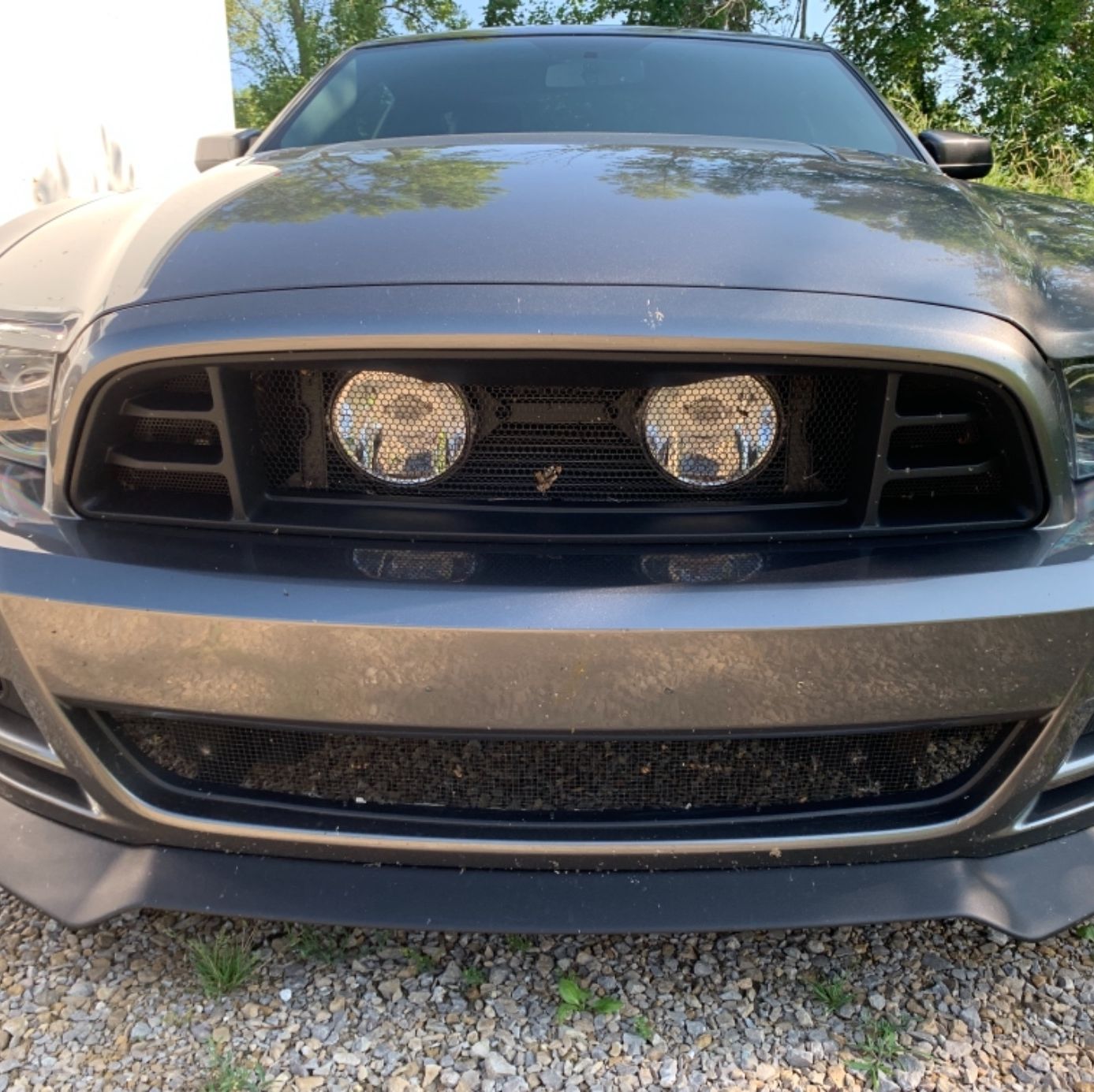 Profile of Paul Schaffer