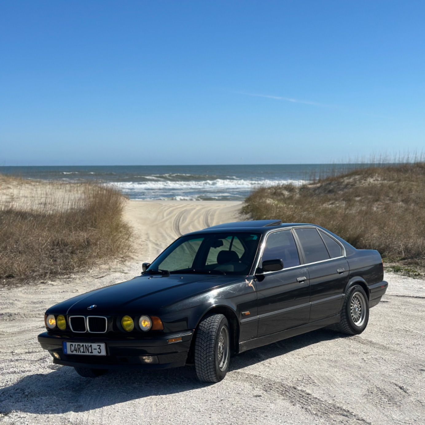 Profile of Christopher A. Carini