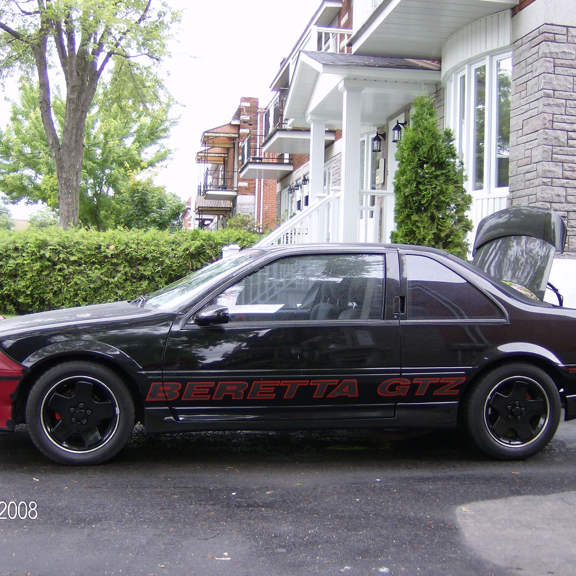 Profile of Paul Camerano