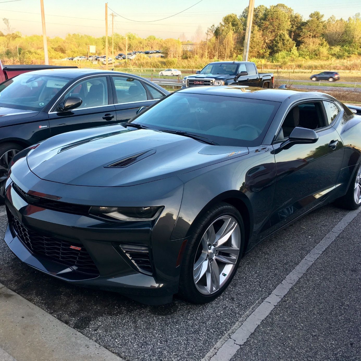 Profile of Cary Neill