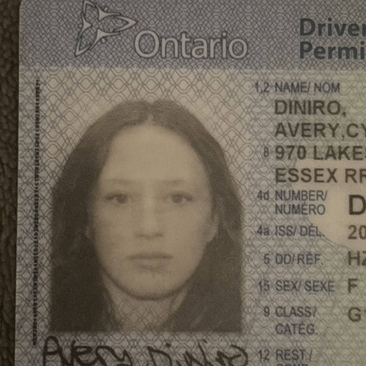 Profile of Avery DiNiro