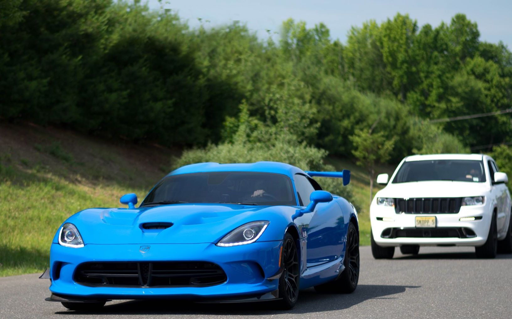 Profile of Joe Boscia