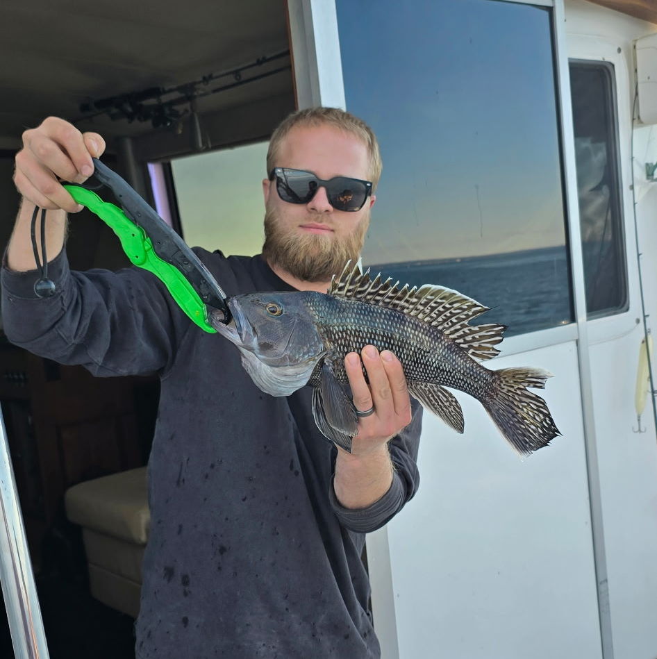 Profile of Nils Guttormsen