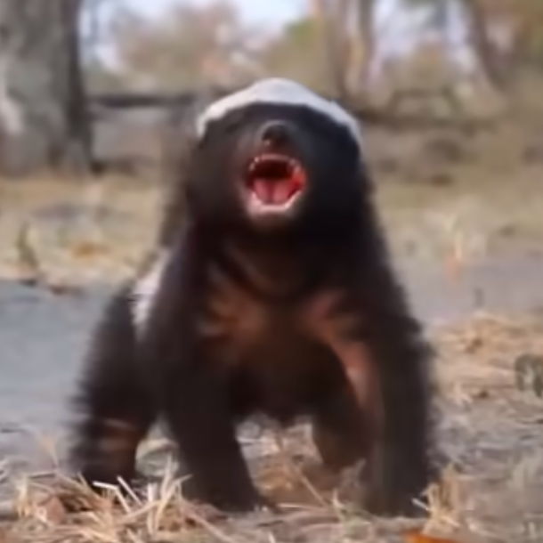 Profile of Sylvain Munro