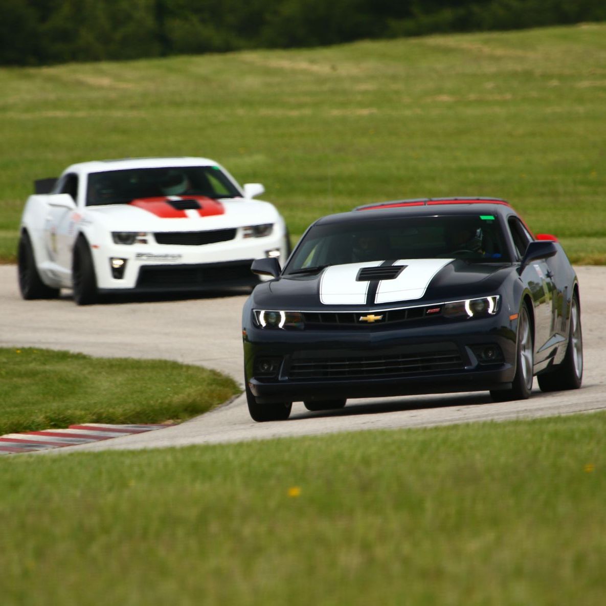 Profile of Warren Todd