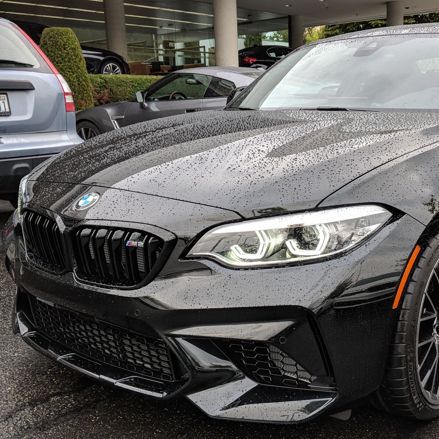 Profile of Matthew Murray